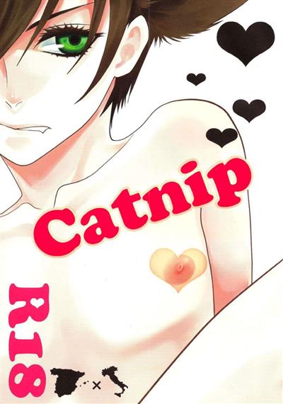 Catnip cover