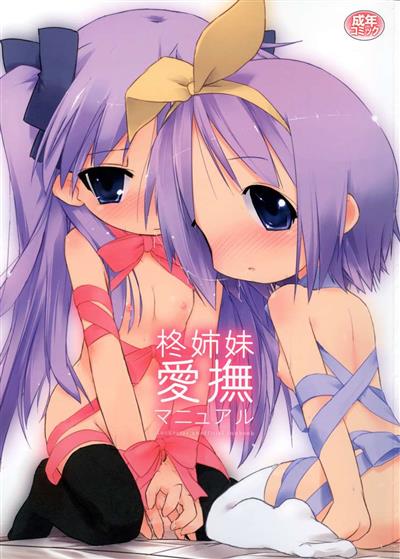 Hiiragi Shimai Aibu Manual / 柊姉妹愛撫マニュアル cover