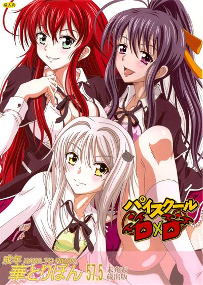 Seinen hana to ribon 57. 5 Paisukūru DxD / 成年華とりぼん57.5 パイスクールD×D cover