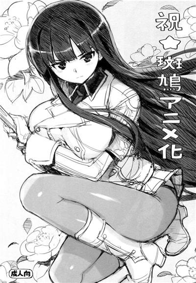 Shuku Ikaruga Anime-ka / 祝☆斑鳩アニメ化 cover