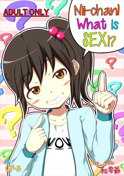 Nii-chan SEX tte Nani!? / Nii-chan! What is SEX!? / にぃちゃんSEXってなに!? cover