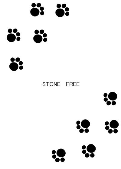 Stone Free cover