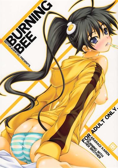 BURNING BEE cover