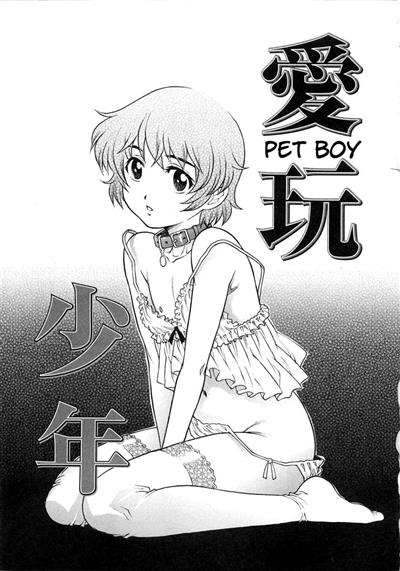 Pet Boy / 愛玩少年 cover