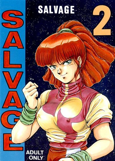 Salvage 2 / SALVAGE2 cover